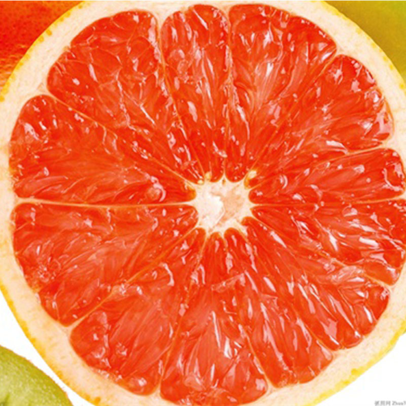 血橙(萃取液)